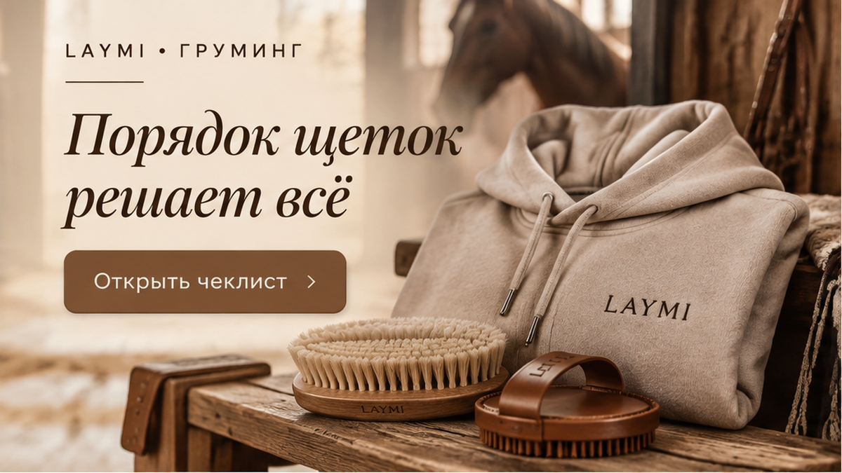 Обложка статьи «Как правильно чистить лошадь: пошаговый чеклист и порядок щеток»